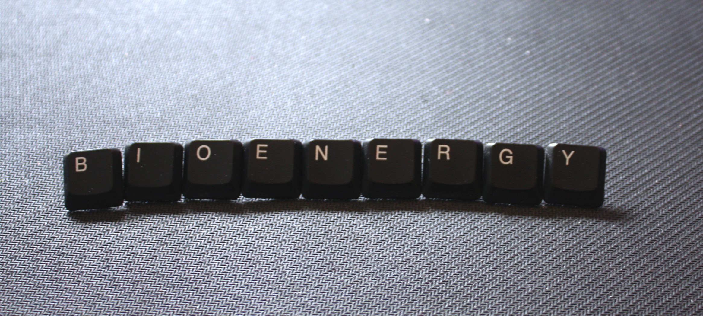 bioenergy concept